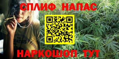 ГАЛЛЮЦИНОГЕННЫЕ ГРИБЫ Гай