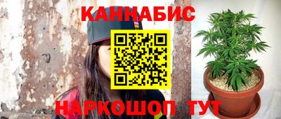 ГАЛЛЮЦИНОГЕННЫЕ ГРИБЫ Гай