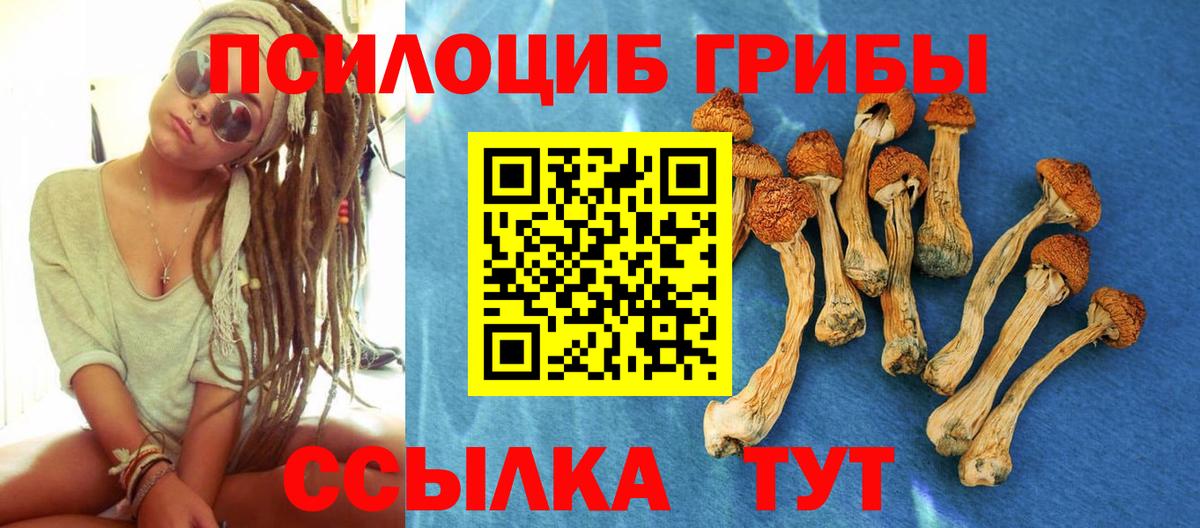 Галлюциногенные грибы Cubensis Жигулёвск