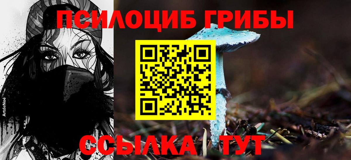 Галлюциногенные грибы Cubensis  Псилоцибиновые грибы Psilocybe  Жигулёвск  Вход с VPN 